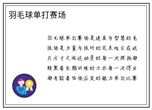 羽毛球单打赛场