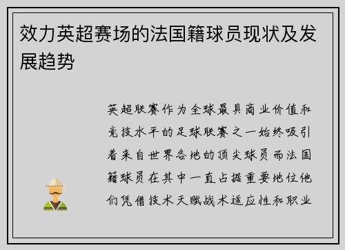 效力英超赛场的法国籍球员现状及发展趋势